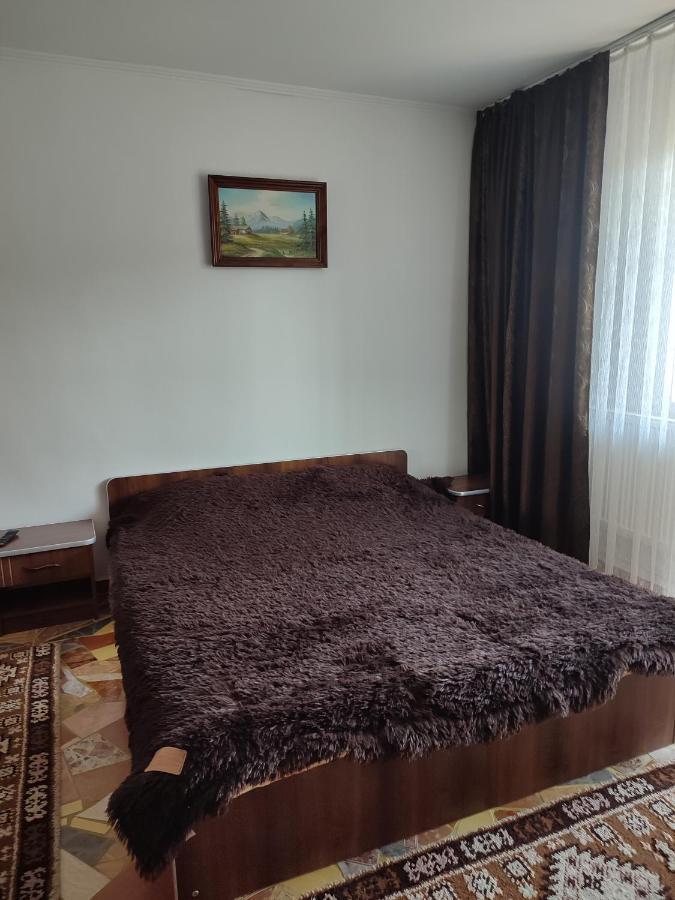 Casa Irilen Ξενοδοχείο Mînăstirea Humorului Εξωτερικό φωτογραφία